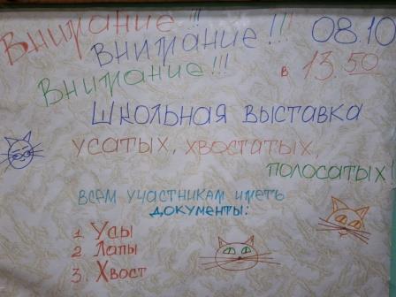 ВЫСТАВКА КОШЕК.